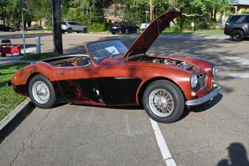 2026-03-28-053-BMCNO-Festival-Robbies-Pictures