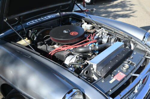 2026-03-28-081-BMCNO-Festival-Robbies-Pictures