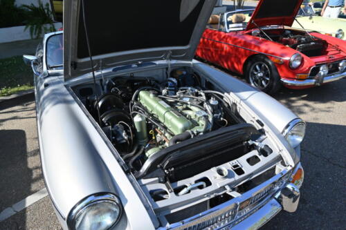 2026-03-28-087-BMCNO-Festival-Robbies-Pictures