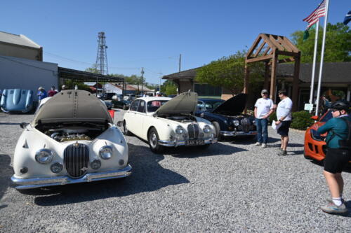 2026-03-28-113-BMCNO-Festival-Robbies-Pictures