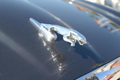 2026-03-28-114-BMCNO-Festival-Robbies-Pictures