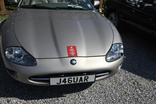 2026-03-28-118-BMCNO-Festival-Robbies-Pictures