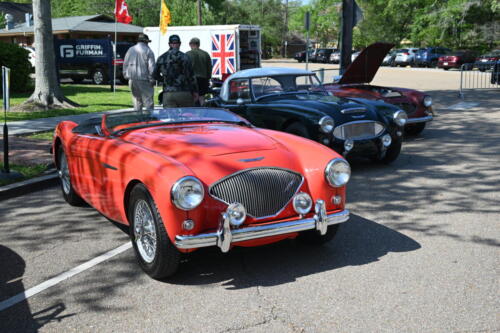 2026-03-28-147-BMCNO-Festival-Robbies-Pictures