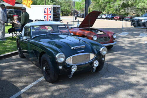 2026-03-28-148-BMCNO-Festival-Robbies-Pictures