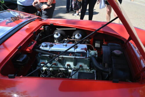 2026-03-28-163-BMCNO-Festival-Robbies-Pictures