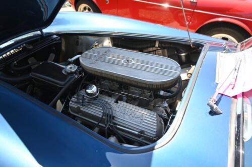 2026-03-28-172-BMCNO-Festival-Robbies-Pictures