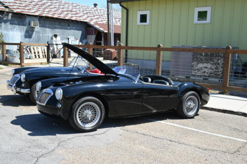 2026-03-28-188-BMCNO-Festival-Robbies-Pictures