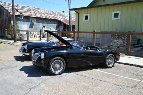 2026-03-28-189-BMCNO-Festival-Robbies-Pictures