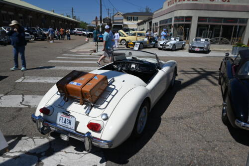 2026-03-28-196-BMCNO-Festival-Robbies-Pictures